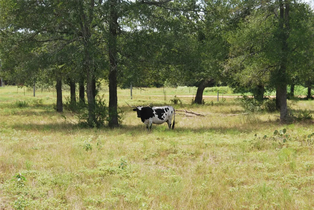 24 State Highway 95 Flatonia, TX 78941