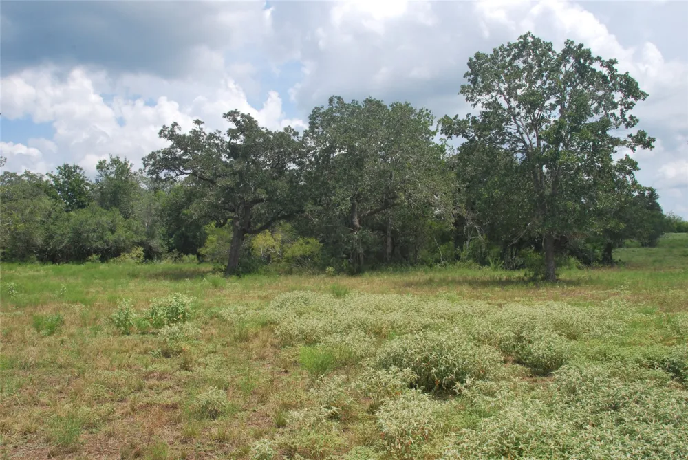 24 State Highway 95 Flatonia, TX 78941