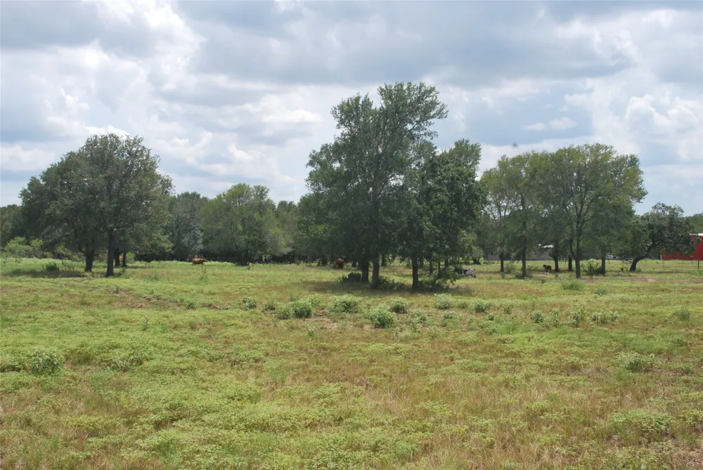 24 State Highway 95 Flatonia, TX 78941