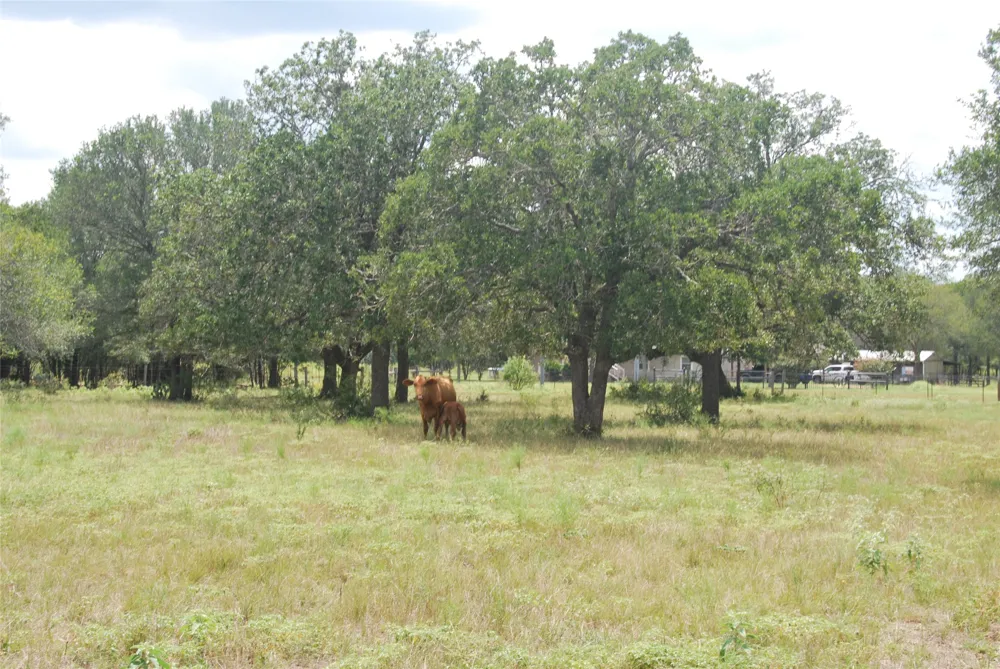 24 State Highway 95 Flatonia, TX 78941