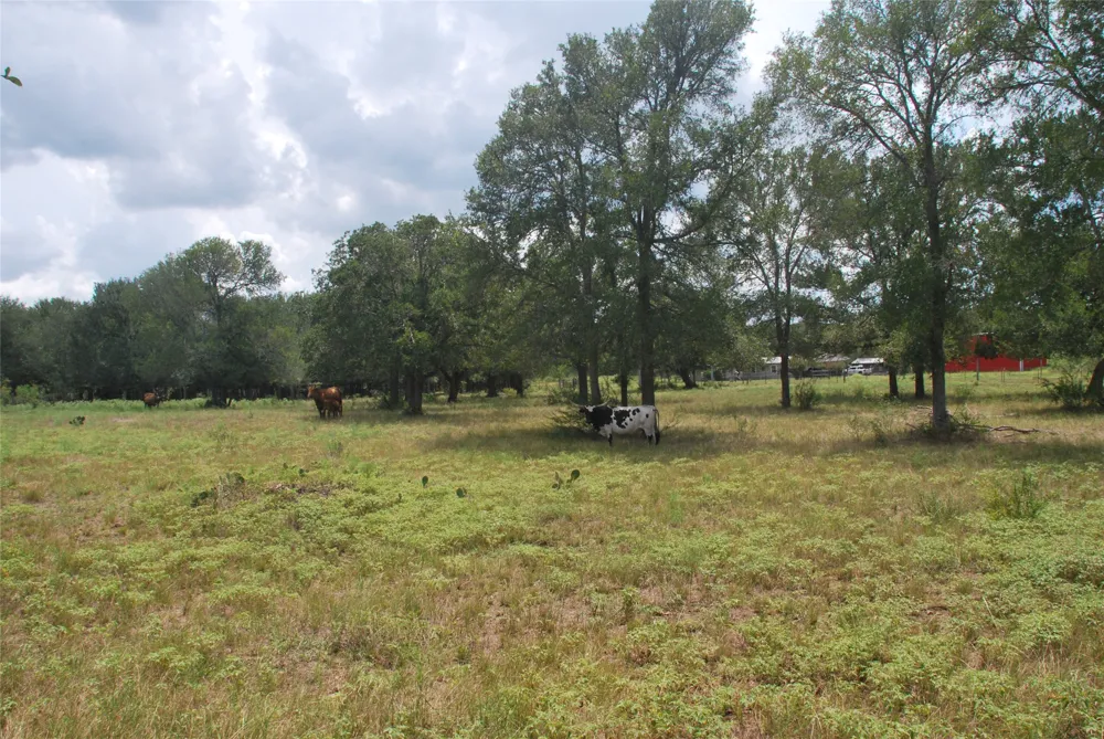 24 State Highway 95 Flatonia, TX 78941