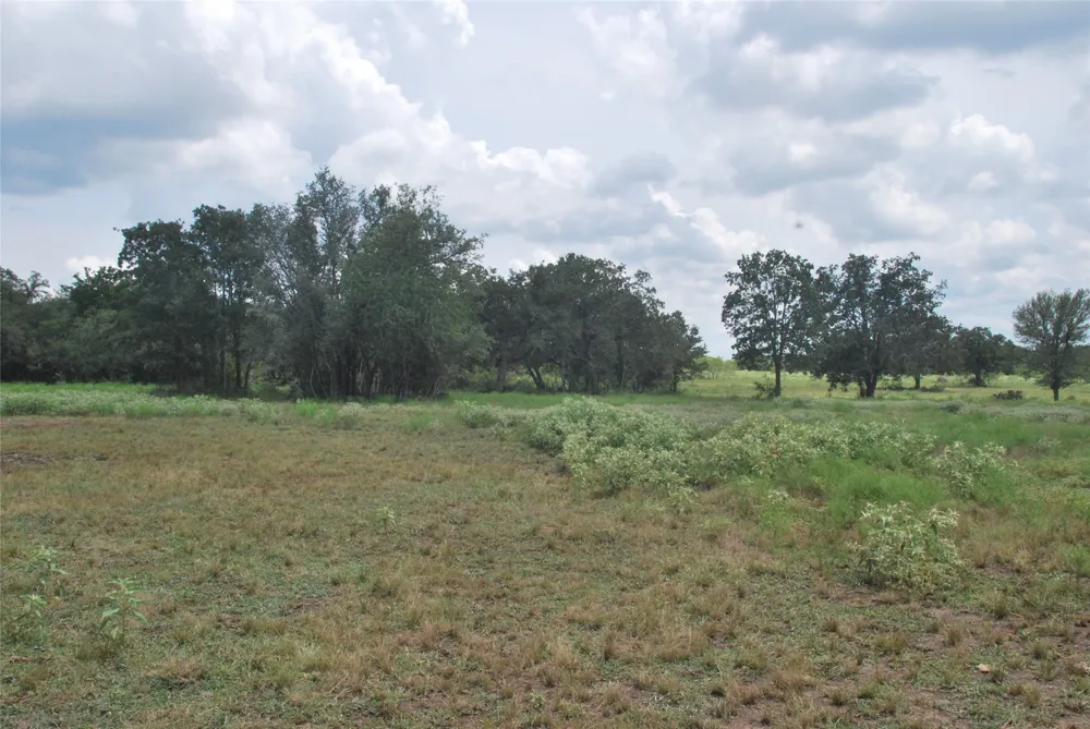24 State Highway 95 Flatonia, TX 78941