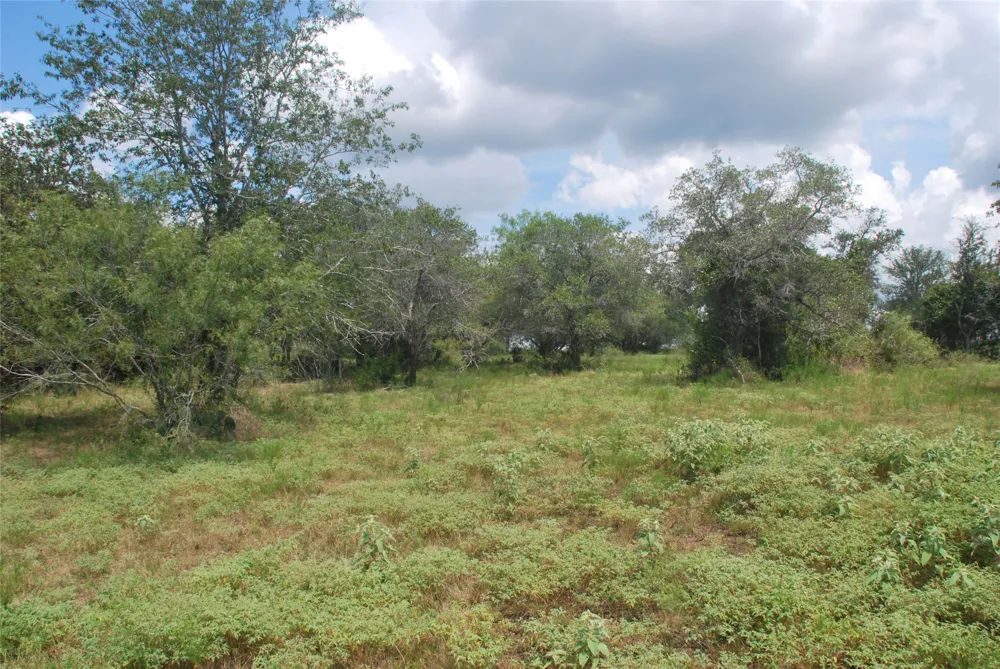 24 State Highway 95 Flatonia, TX 78941
