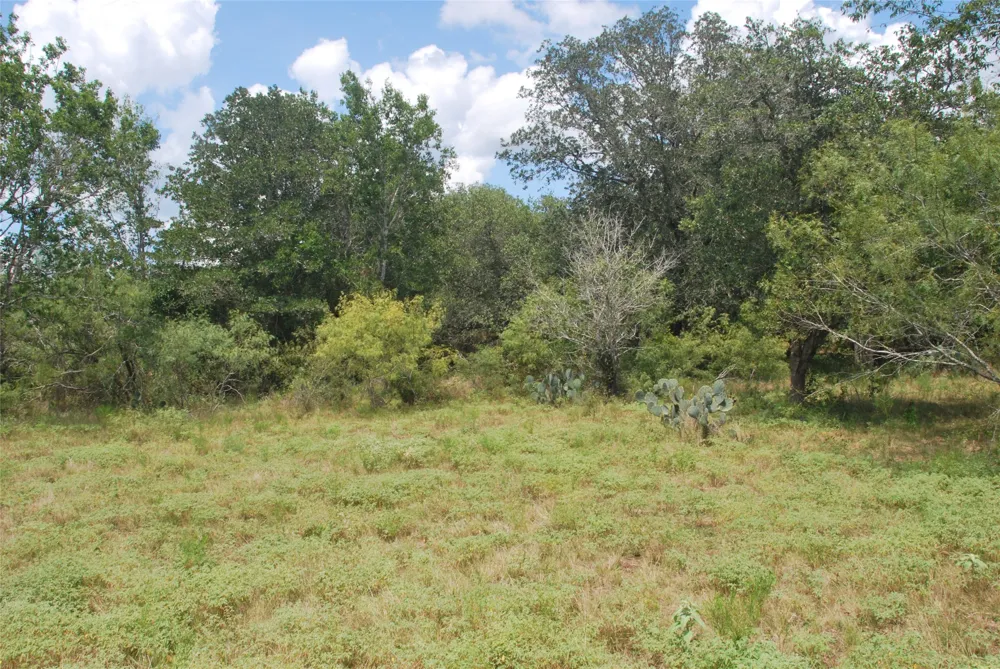24 State Highway 95 Flatonia, TX 78941