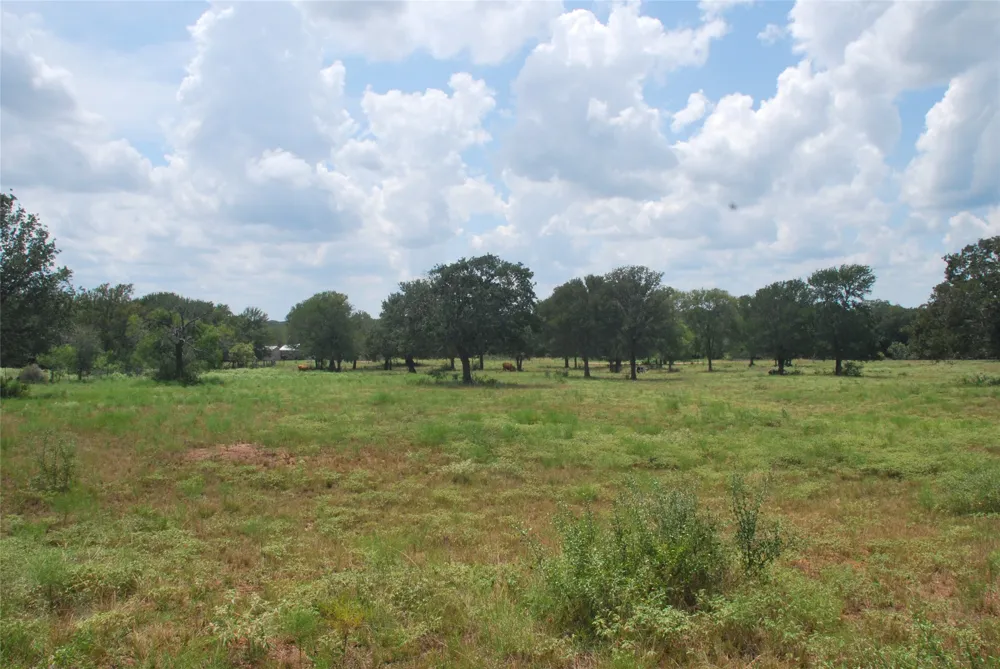 24 State Highway 95 Flatonia, TX 78941