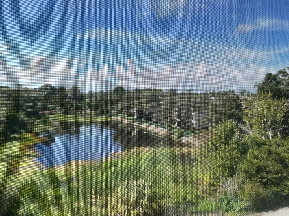 2625 STATE ROAD 590 #2832 Clearwater, FL 33759