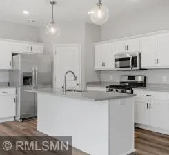 10597 Goodview Avenue S Cottage Grove, MN 55016