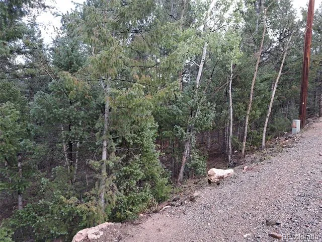360 Hi Meadow Drive Bailey, CO 80421