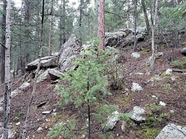 360 Hi Meadow Drive Bailey, CO 80421