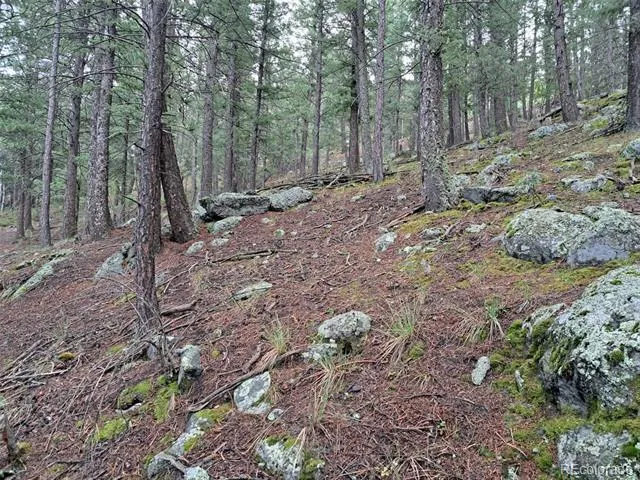 360 Hi Meadow Drive Bailey, CO 80421