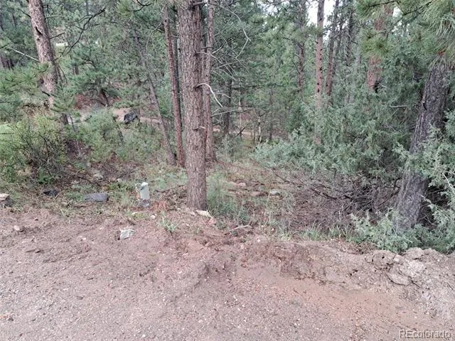 360 Hi Meadow Drive Bailey, CO 80421