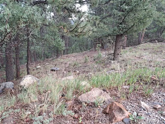 360 Hi Meadow Drive Bailey, CO 80421