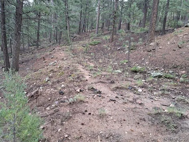 360 Hi Meadow Drive Bailey, CO 80421