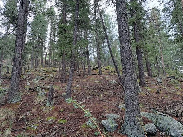 360 Hi Meadow Drive Bailey, CO 80421