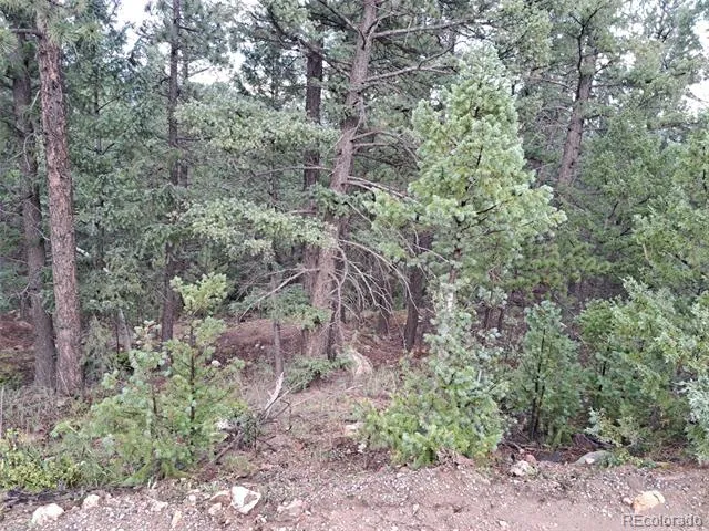 360 Hi Meadow Drive Bailey, CO 80421
