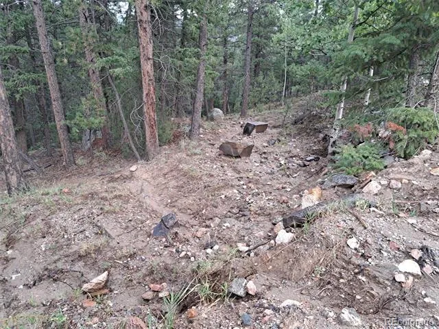 360 Hi Meadow Drive Bailey, CO 80421