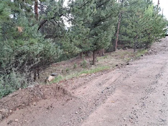 360 Hi Meadow Drive Bailey, CO 80421