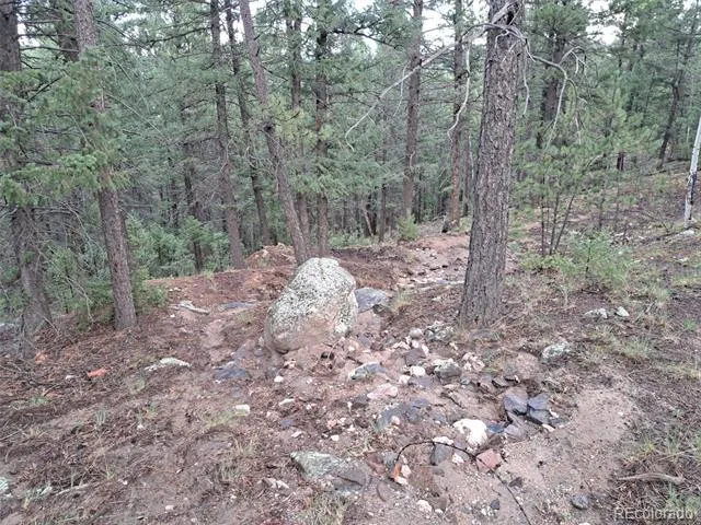 360 Hi Meadow Drive Bailey, CO 80421