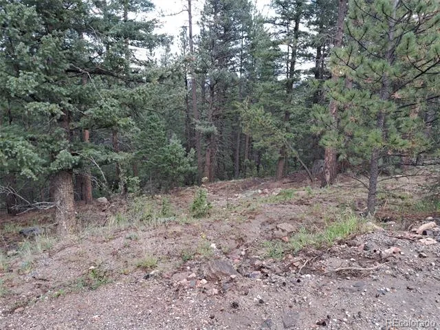 360 Hi Meadow Drive Bailey, CO 80421