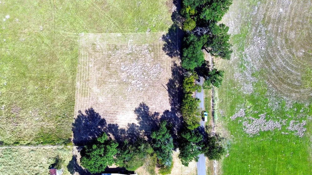 1 FCR 196 Streetman, TX 75859