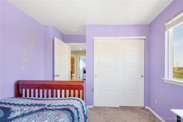 10293 Norfolk Street Commerce City, CO 80022
