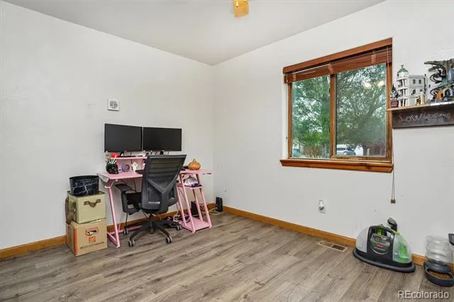 105 Surrey Street Buena Vista, CO 81211