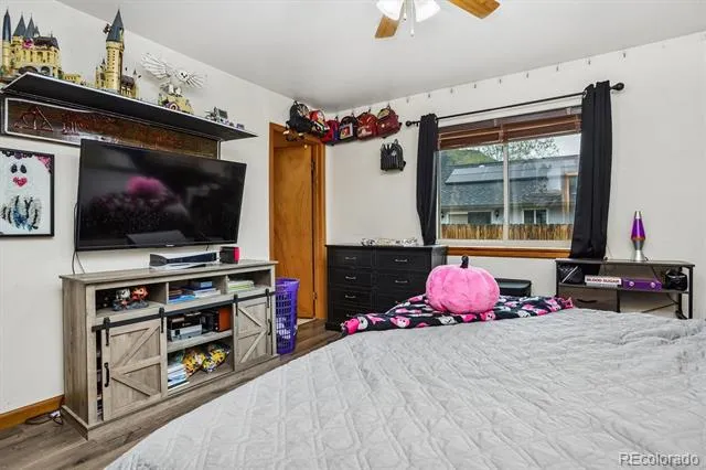 105 Surrey Street Buena Vista, CO 81211