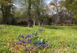 4683 E Fm Rd 1396 Telephone, TX 75488