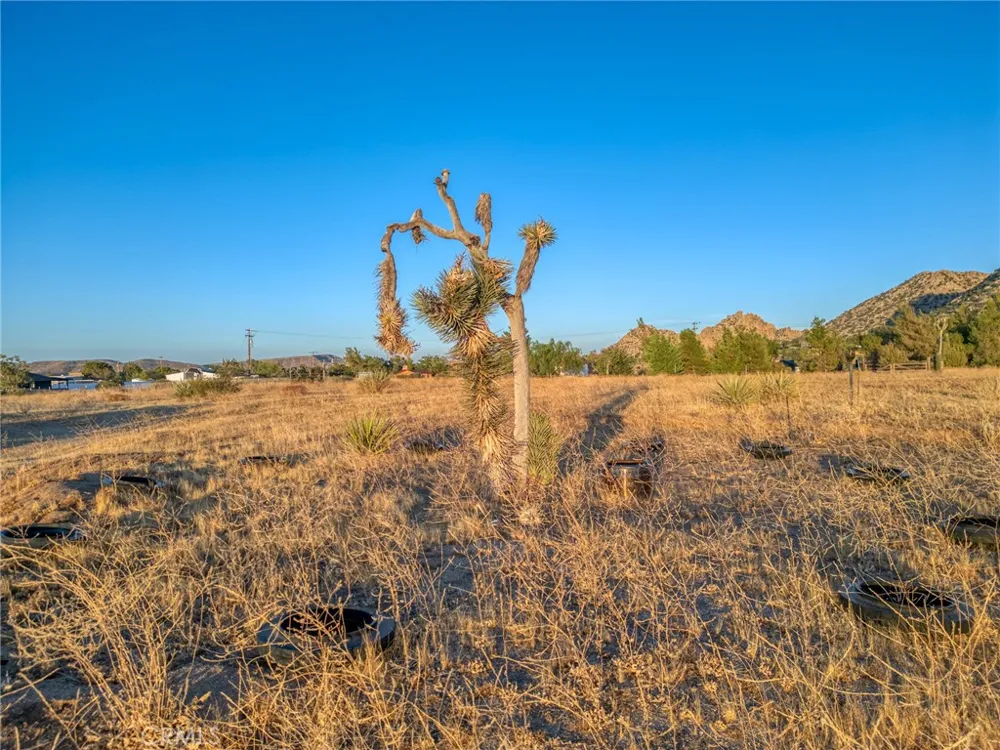 5430 Red Ryder Road Pioneertown, CA 92268