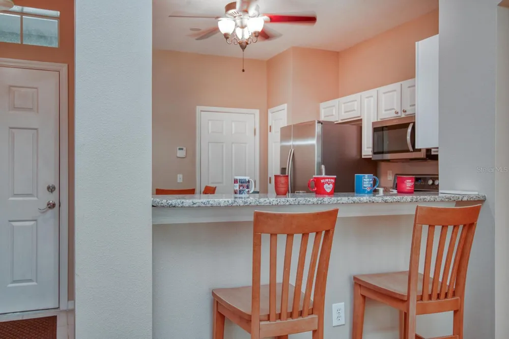 11092 WINDSOR PLACE CIRCLE Tampa, FL 33626