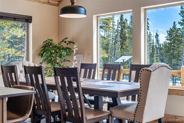526 Porcupine Road Fairplay, CO 80440