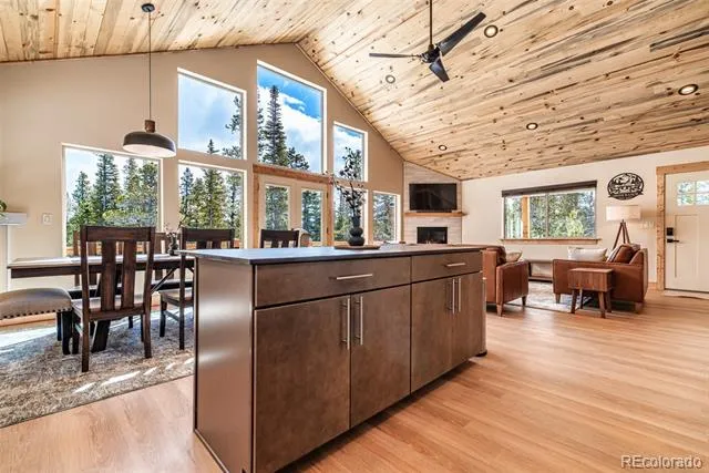 526 Porcupine Road Fairplay, CO 80440