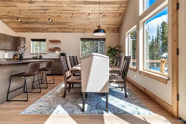 526 Porcupine Road Fairplay, CO 80440