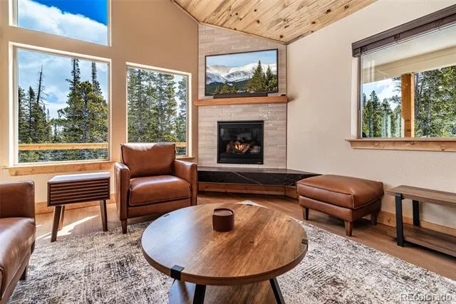 526 Porcupine Road Fairplay, CO 80440
