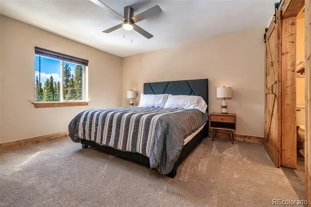 526 Porcupine Road Fairplay, CO 80440