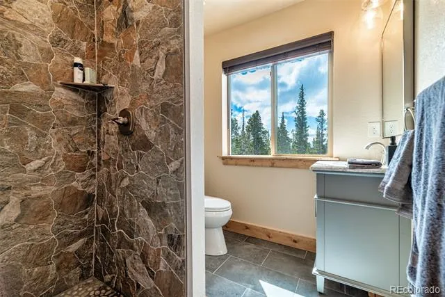 526 Porcupine Road Fairplay, CO 80440