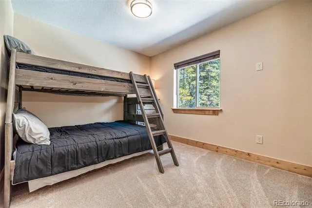 526 Porcupine Road Fairplay, CO 80440