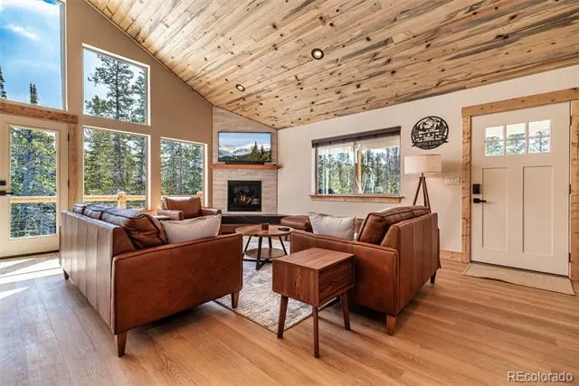 526 Porcupine Road Fairplay, CO 80440