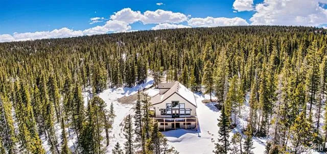526 Porcupine Road Fairplay, CO 80440