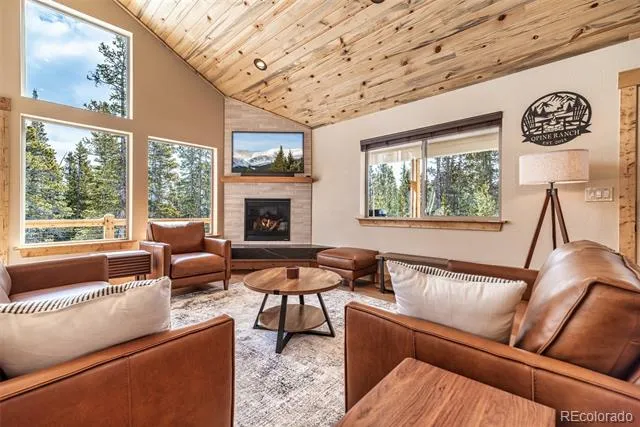 526 Porcupine Road Fairplay, CO 80440