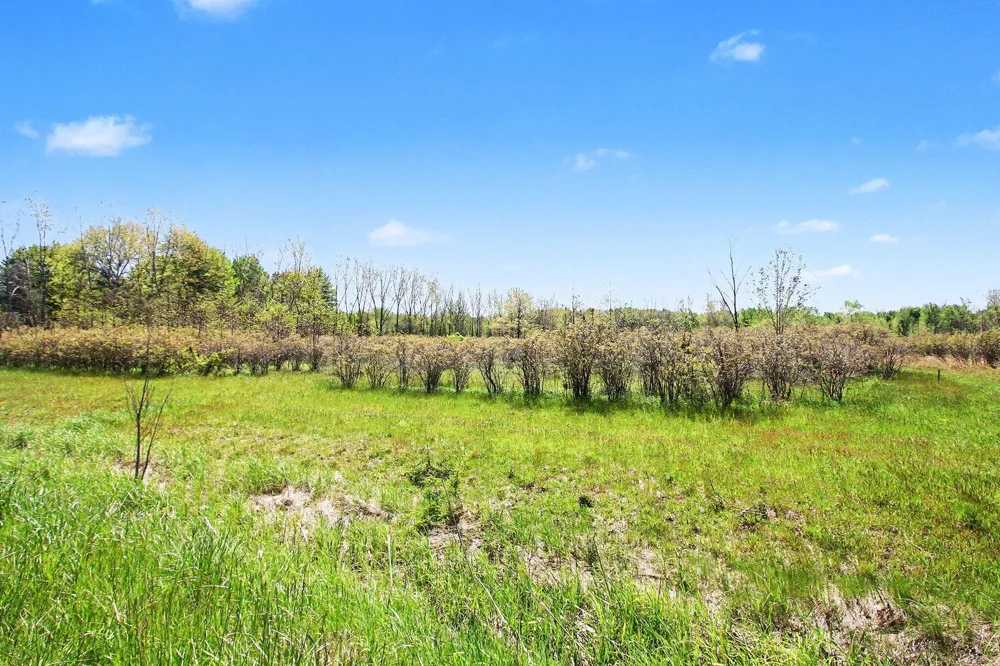 61199 County Road 380 Bangor, MI 49013