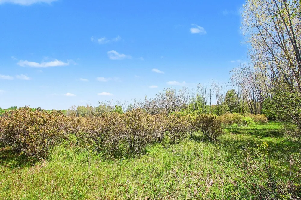 61199 County Road 380 Bangor, MI 49013