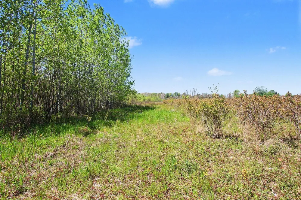 61199 County Road 380 Bangor, MI 49013