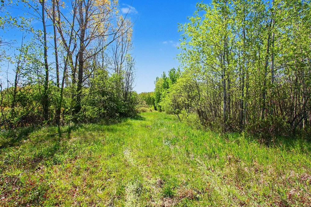 61199 County Road 380 Bangor, MI 49013