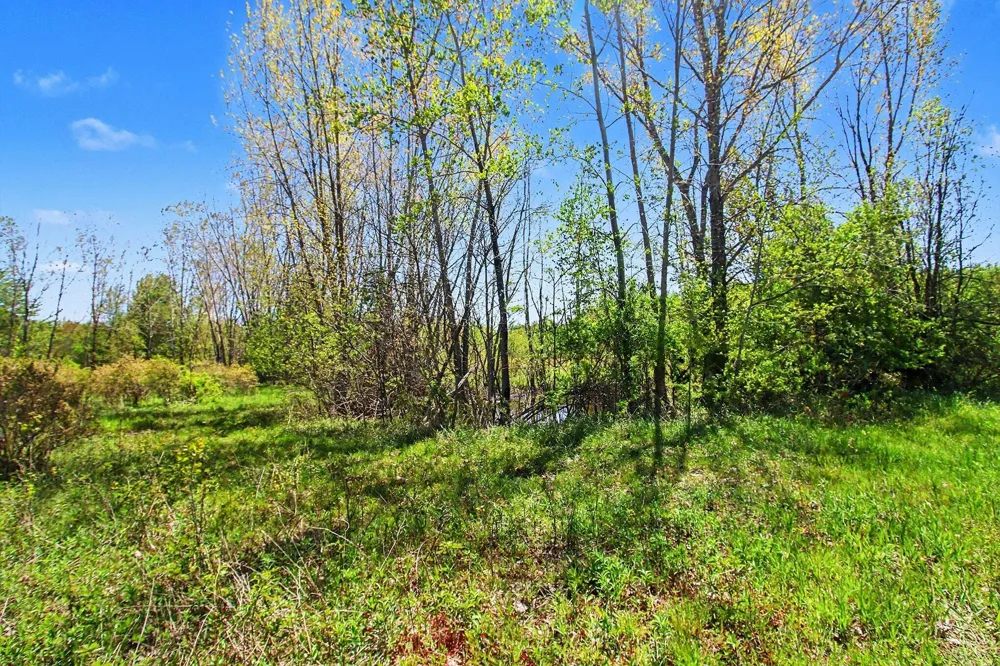 61199 County Road 380 Bangor, MI 49013