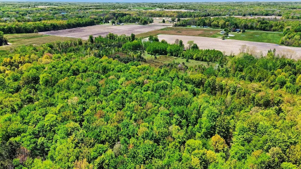 61199 County Road 380 Bangor, MI 49013