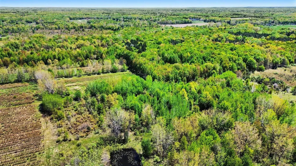 61199 County Road 380 Bangor, MI 49013