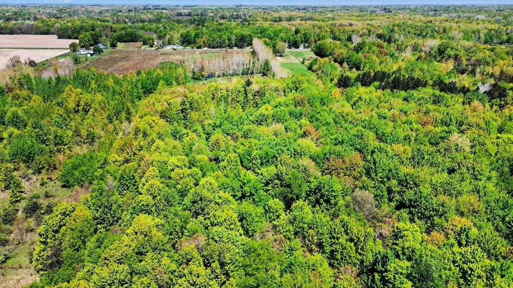 61199 County Road 380 Bangor, MI 49013