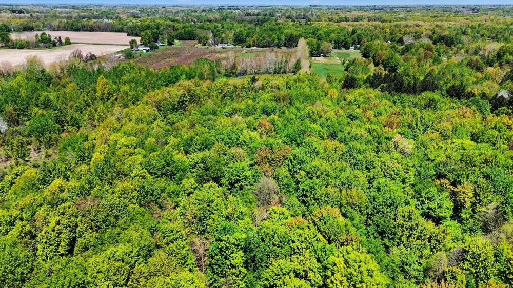 61199 County Road 380 Bangor, MI 49013
