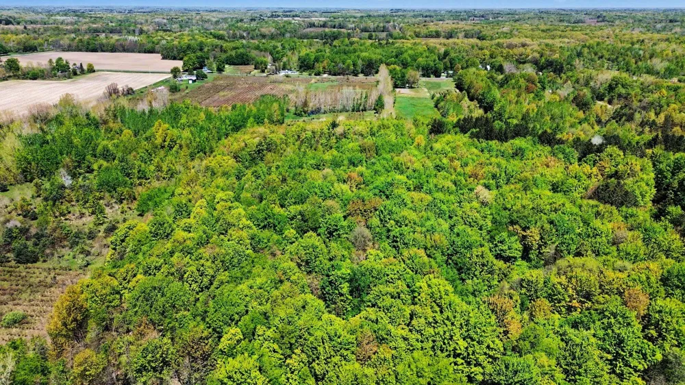 61199 County Road 380 Bangor, MI 49013